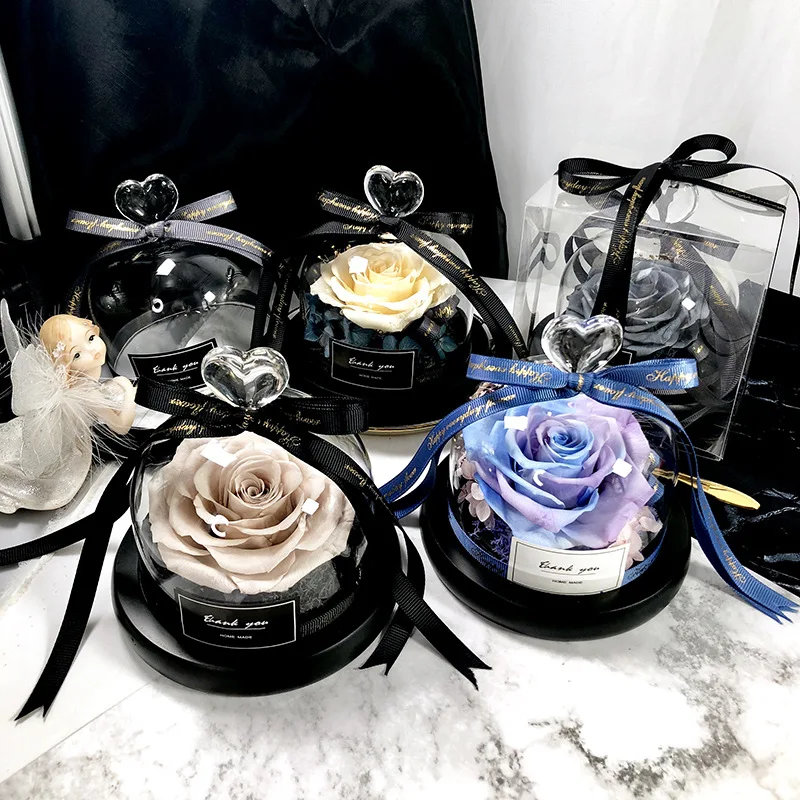 Beauty and the Beast Save Vale - Decor Timeless Lighting ulasan dan harga