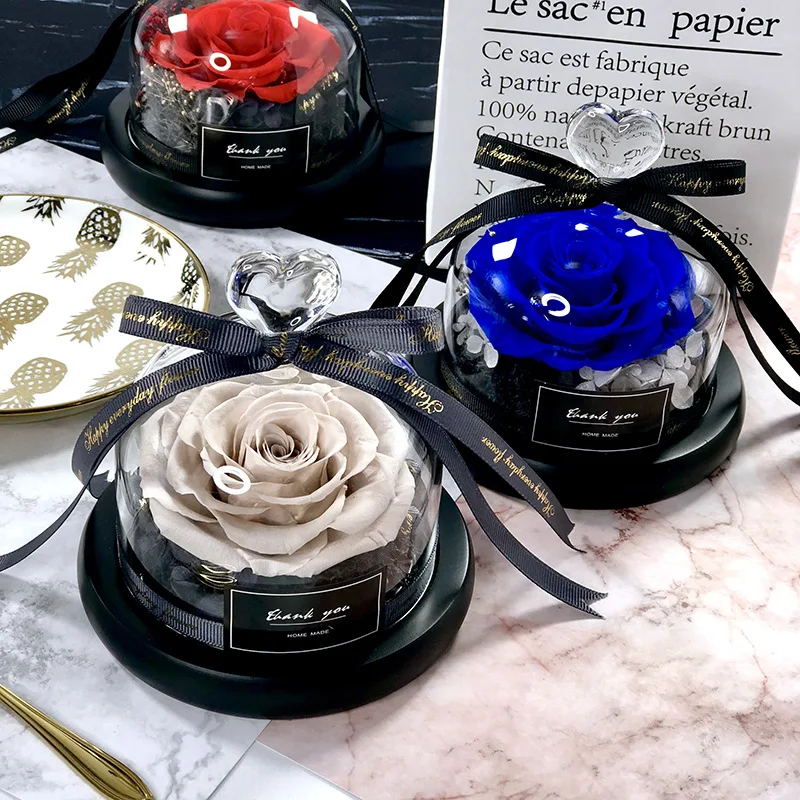 Beauty and the Beast Save Vale - Decor Timeless Lighting ulasan dan harga