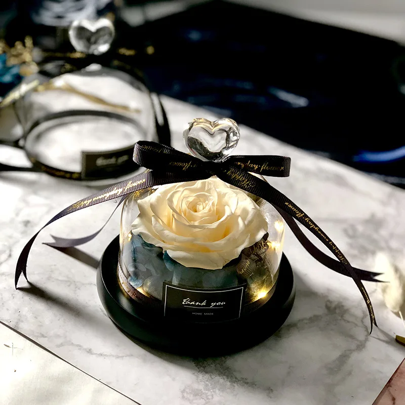 Beauty and the Beast Save Vale - Decor Timeless Lighting ulasan dan harga
